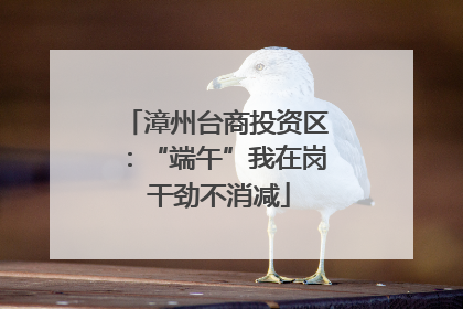 漳州台商投资区：“端午”我在岗 干劲不消减